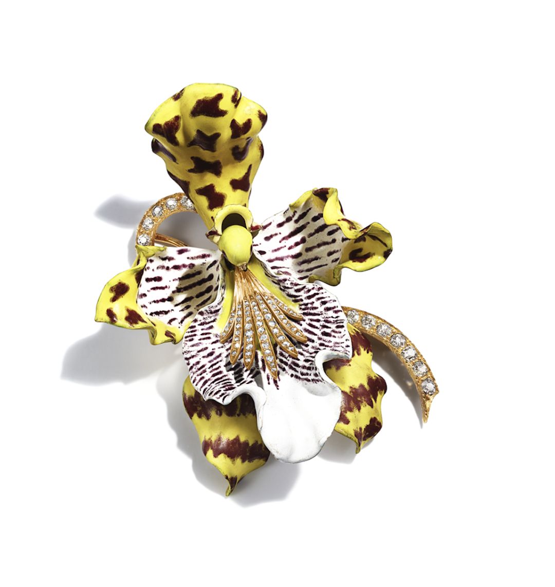 看展之旅,看展之旅开启