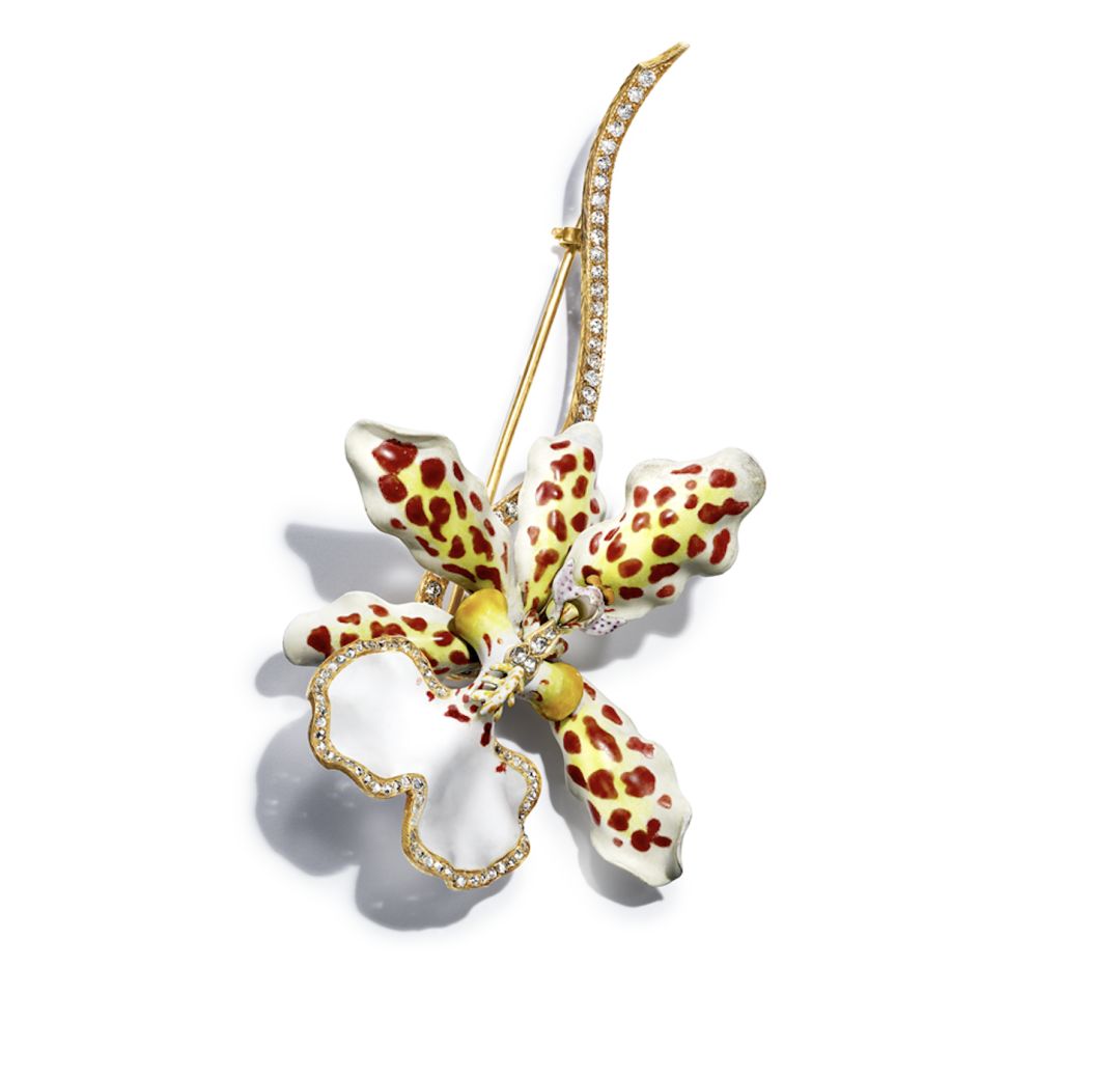 看展之旅,看展之旅开启