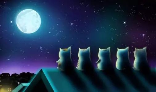 合肥超级月亮最佳观赏点,合肥中秋去哪里赏月比较好