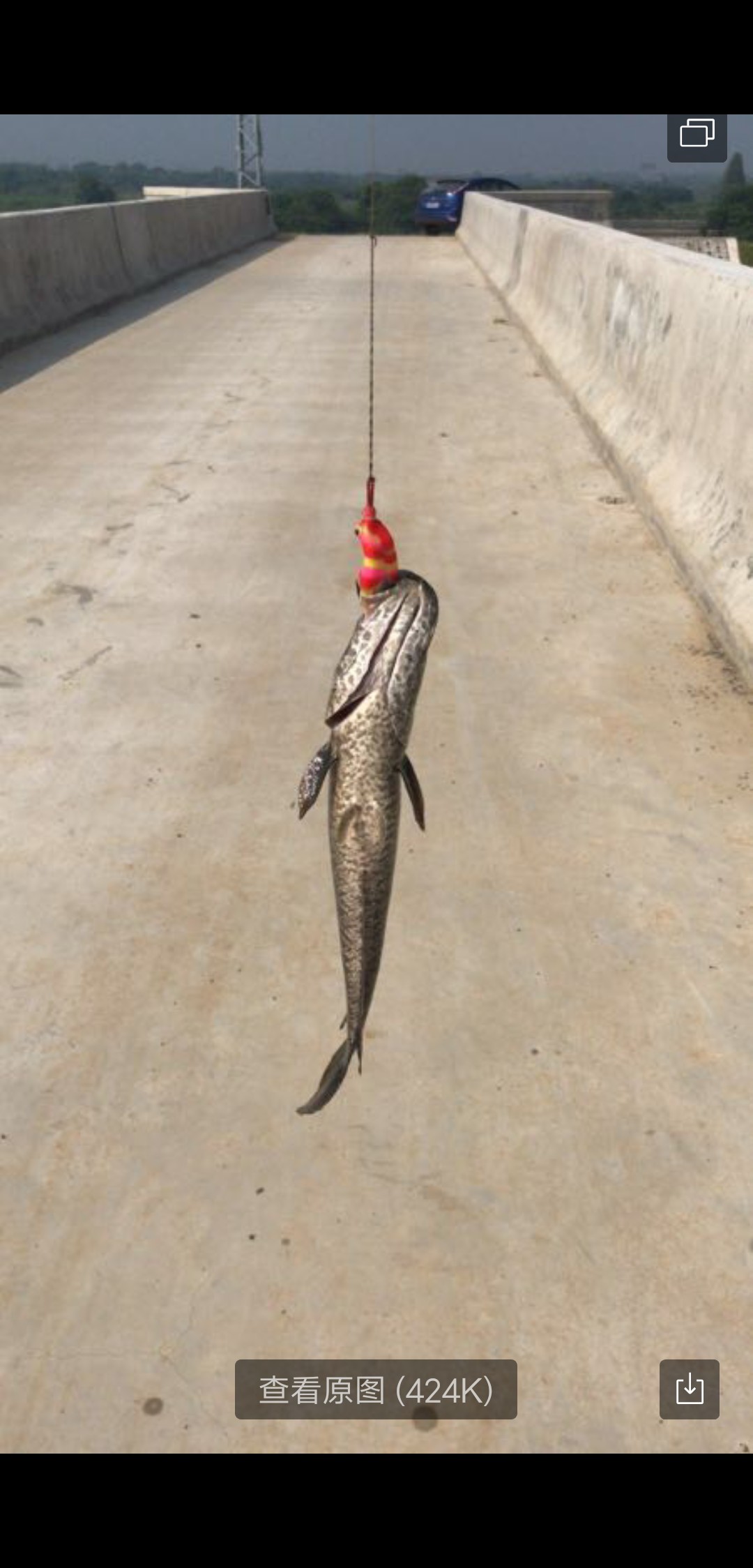 鼓轮经常爆线是什么原因,鼓轮爆线怎么办