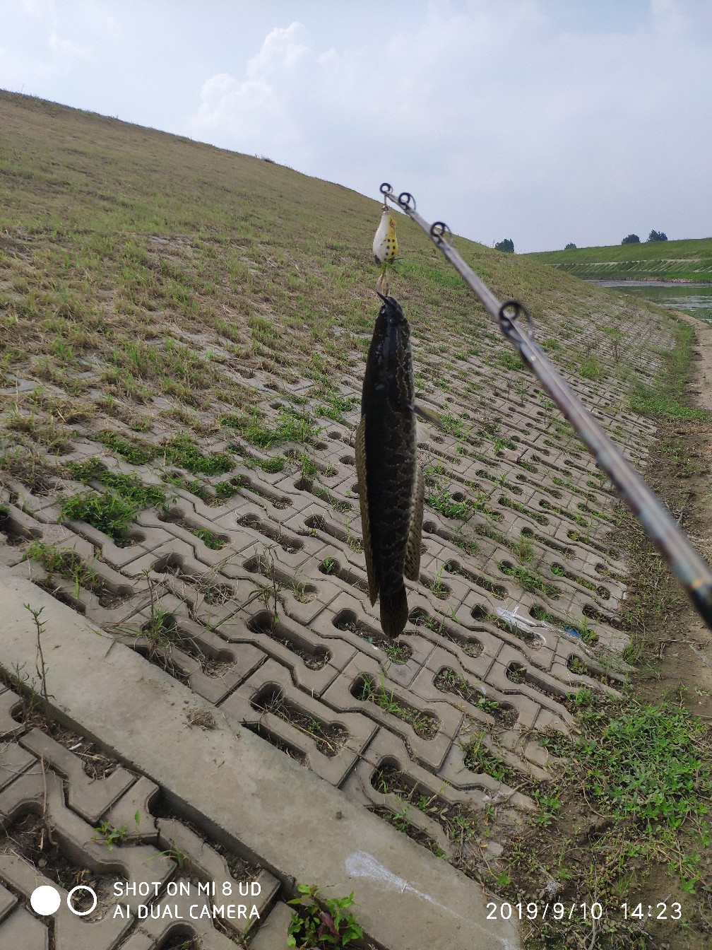 鼓轮经常爆线是什么原因,鼓轮爆线怎么办