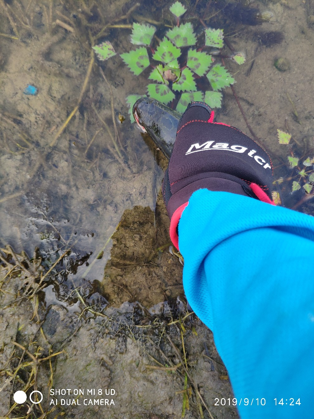 鼓轮经常爆线是什么原因,鼓轮爆线怎么办