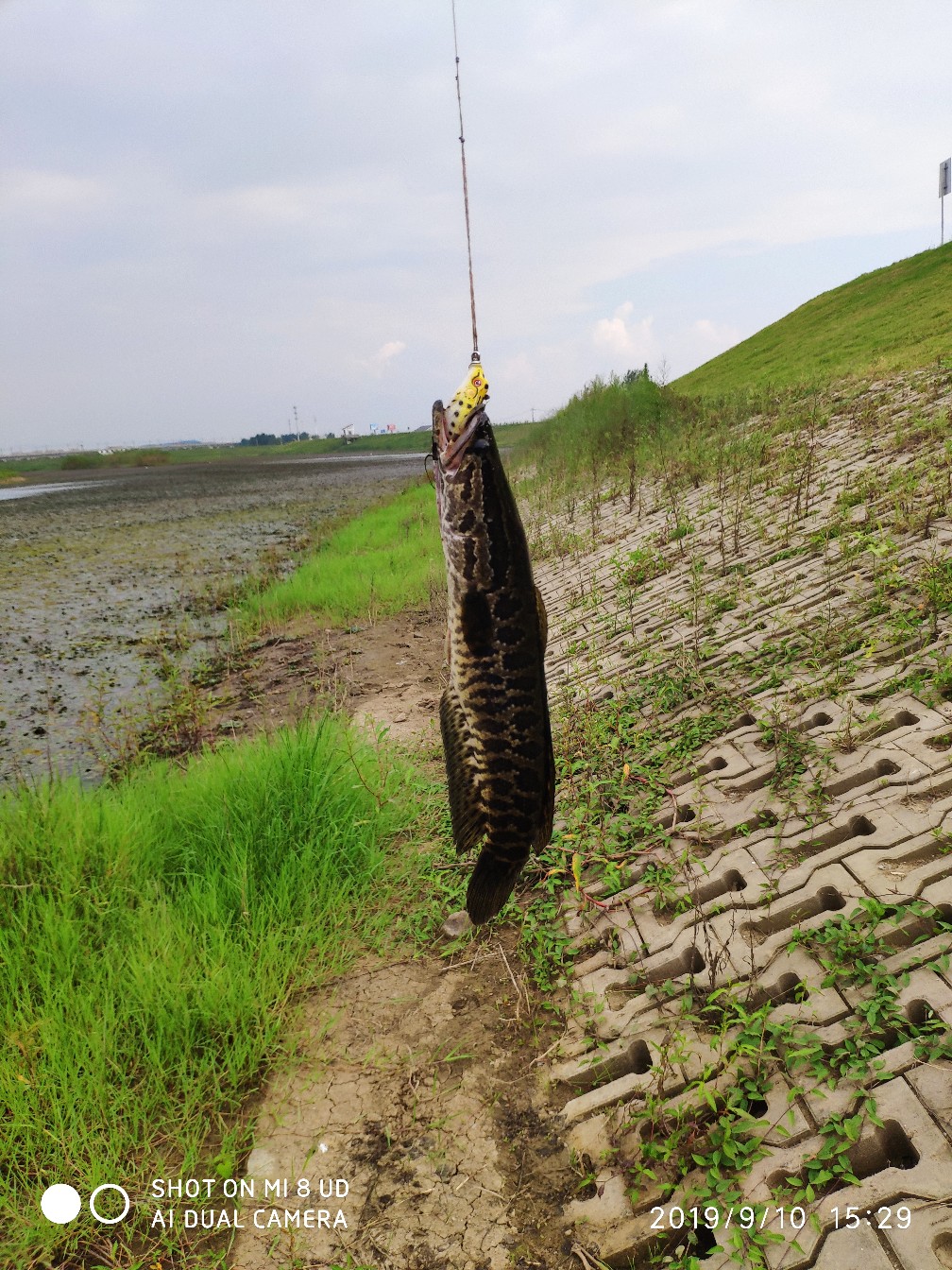 鼓轮经常爆线是什么原因,鼓轮爆线怎么办