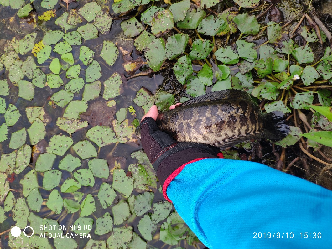 鼓轮经常爆线是什么原因,鼓轮爆线怎么办