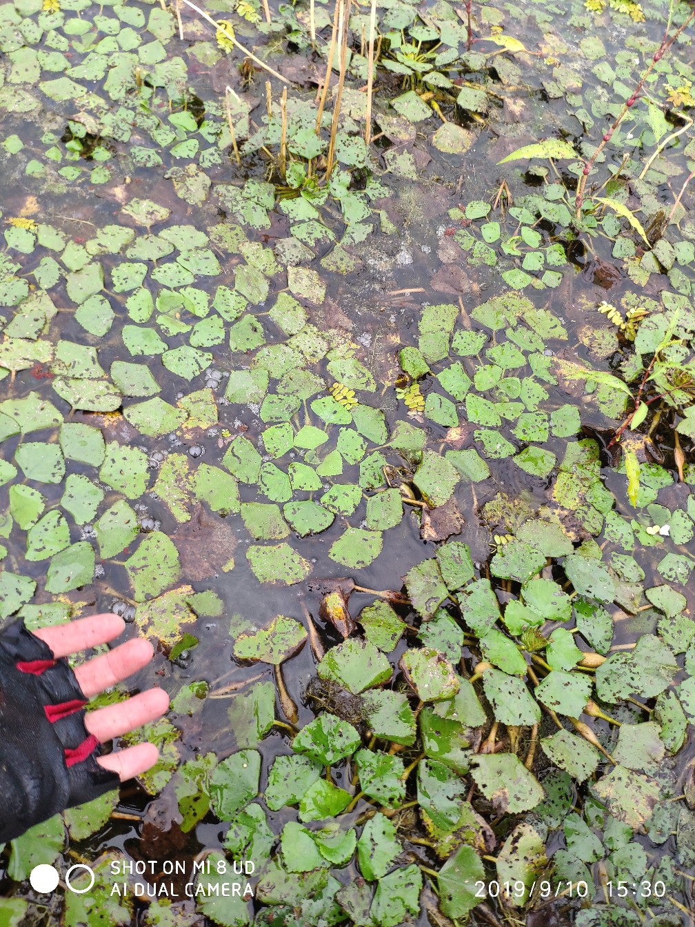 鼓轮经常爆线是什么原因,鼓轮爆线怎么办