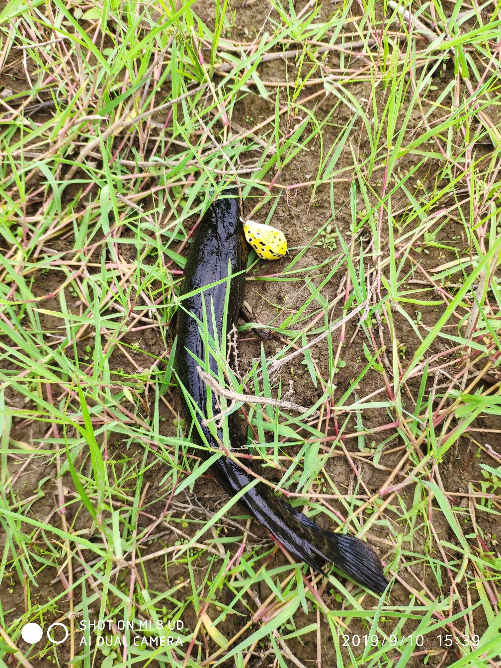 鼓轮经常爆线是什么原因,鼓轮爆线怎么办