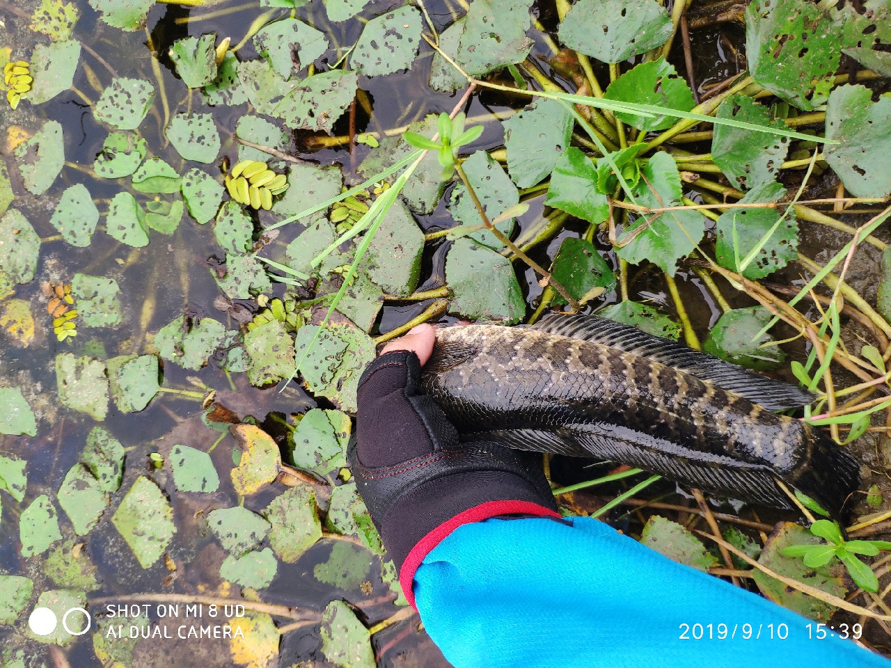 鼓轮经常爆线是什么原因,鼓轮爆线怎么办