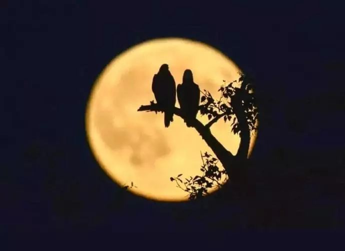 合肥超级月亮最佳观赏点,合肥中秋去哪里赏月比较好