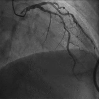 跟我学技术分析从入门到精通,跟我学技术