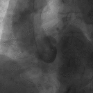 跟我学技术分析从入门到精通,跟我学技术