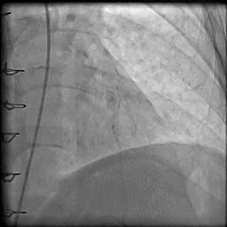 跟我学技术分析从入门到精通,跟我学技术