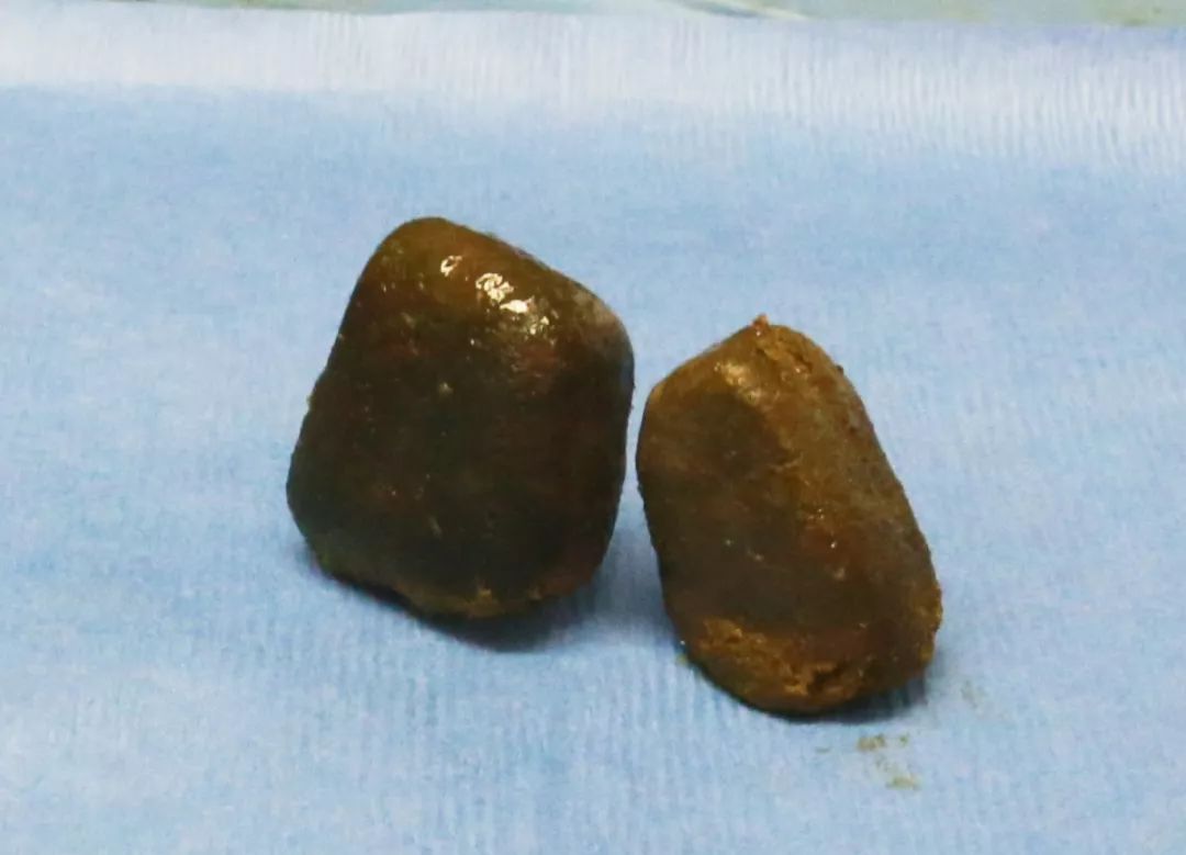 把会飞的小强做成冰箱贴……搞笑诺贝尔奖：我们真的是正经研究！