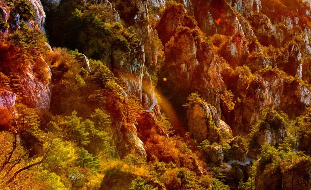 洛阳必打卡,洛阳值得去打卡的地方