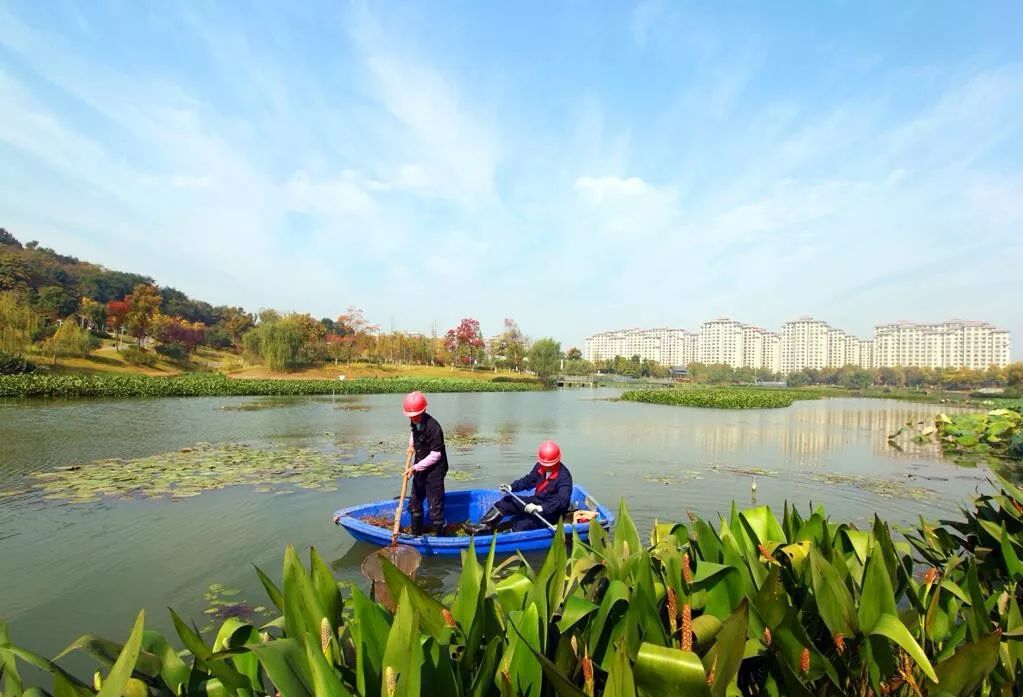 芜湖高质量发展之路,芜湖绿色发展