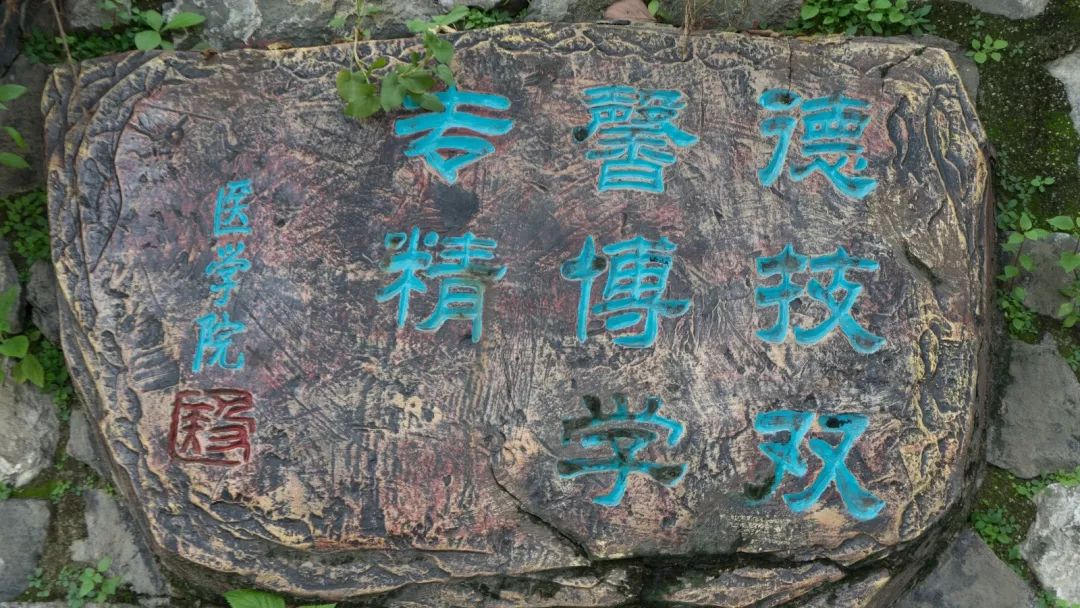 档案解密十二生肖,十二生肖天数配对解密