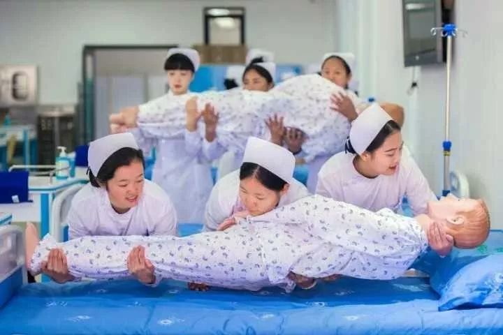 档案解密十二生肖,十二生肖天数配对解密