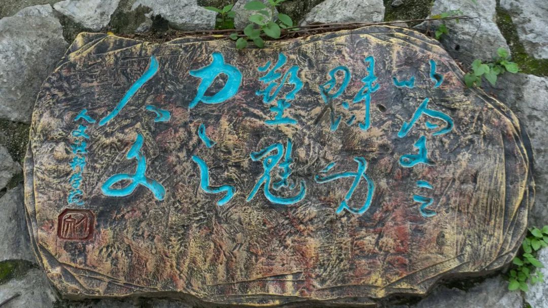 档案解密十二生肖,十二生肖天数配对解密