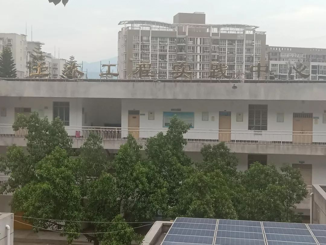 档案解密十二生肖,十二生肖天数配对解密