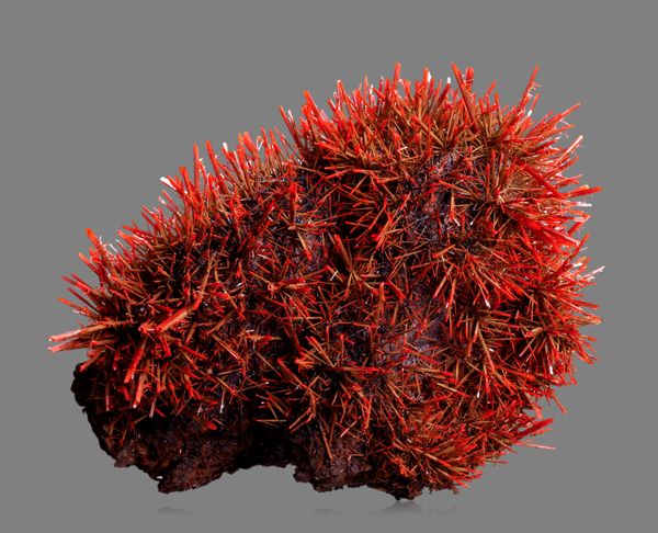 谁还不是个小可爱文案,谁小时候还不是个小可爱