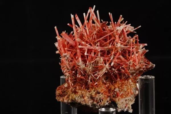 谁还不是个小可爱文案,谁小时候还不是个小可爱