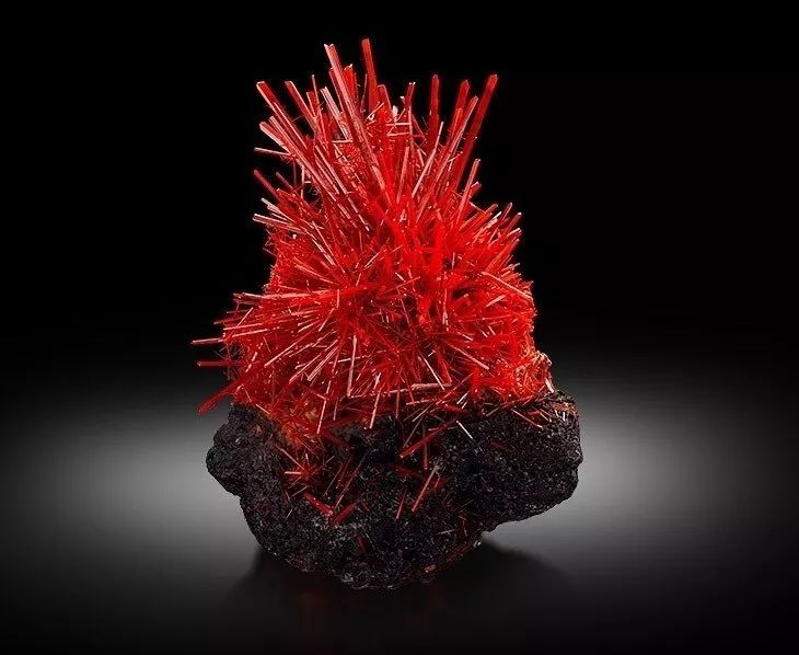 谁还不是个小可爱文案,谁小时候还不是个小可爱