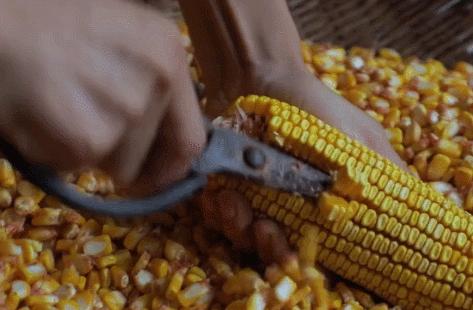 人气最高网红村姑,盘点曾经很火的村姑网红