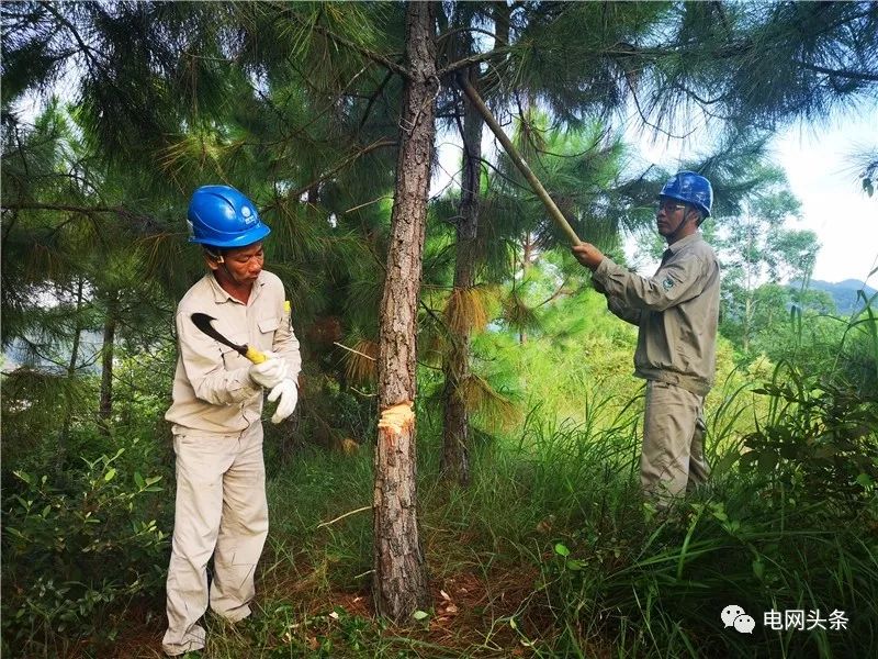 夸奖电力一线职工,表扬电力员工的句子