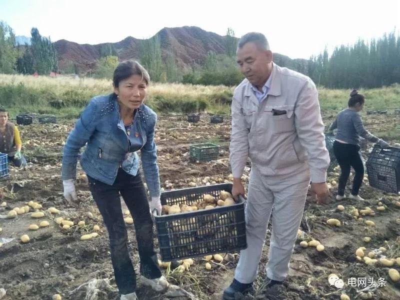 夸奖电力一线职工,表扬电力员工的句子