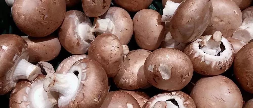 白糖这么厉害这些用处你都知道吗,原来白糖这么厉害