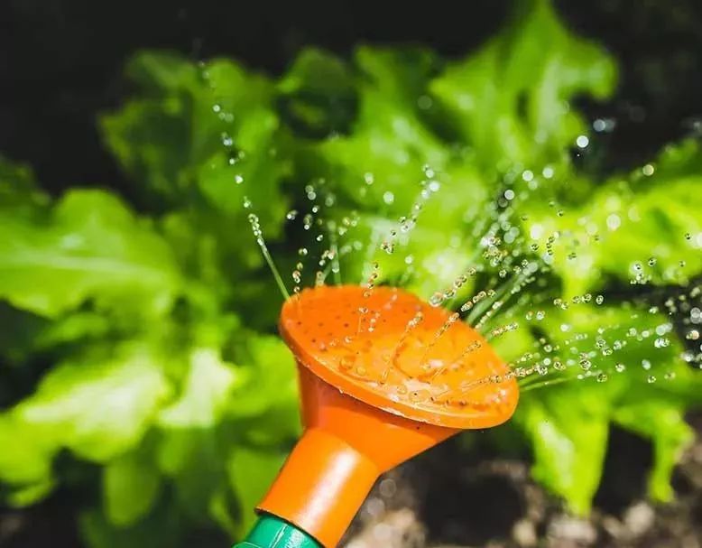 白糖这么厉害这些用处你都知道吗,原来白糖这么厉害