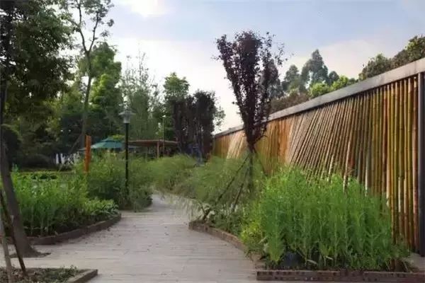 乡村改造方法盘点,全国美丽乡村改造案例