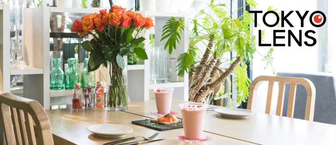 日本谈论中国城市,日本人谈cityboy