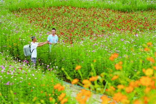广安风景真美,夏天广安看风景