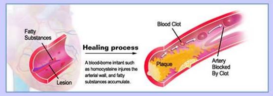 健康评价新指标,健康指标大全详解
