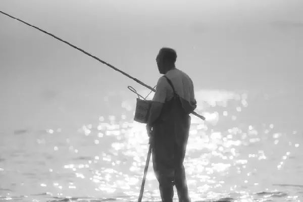 读钓鱼的启示有感,朗读钓鱼的启示