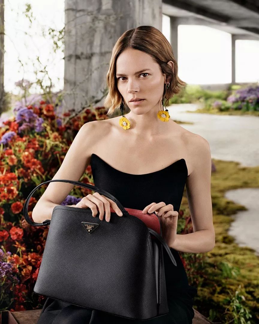 WesAnderson与他钟情的Prada