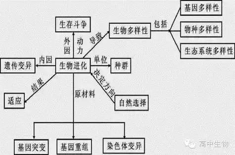 高考提分必备100题,高考生物必考的题