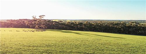 golia歌莉娅女装旗舰店,歌莉娅女装官方旗舰店2022款