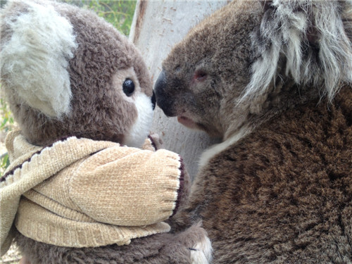 golia歌莉娅女装旗舰店,歌莉娅女装官方旗舰店2022款