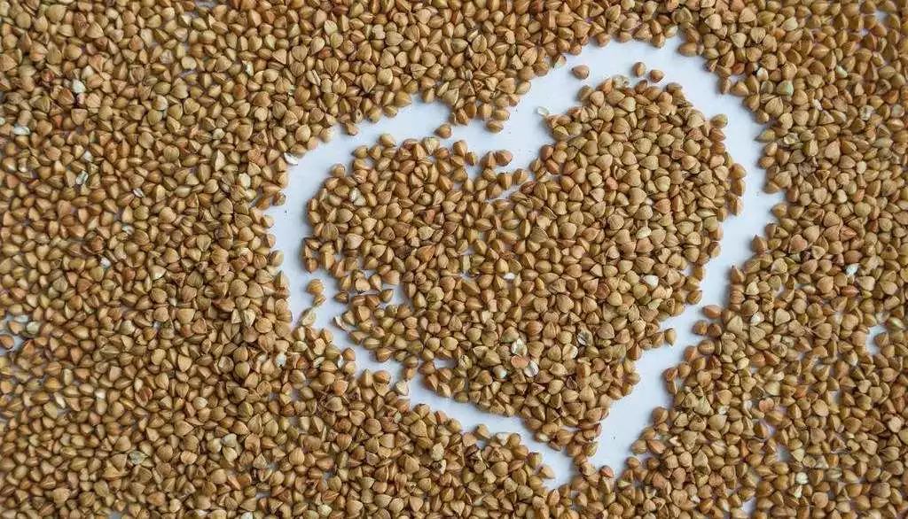 记忆里的昆明,昆明荞酒