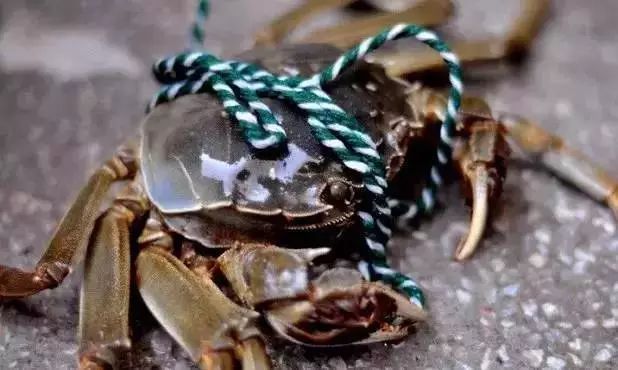 秋风起蟹脚肥原版,秋风起蟹脚肥怎么回事