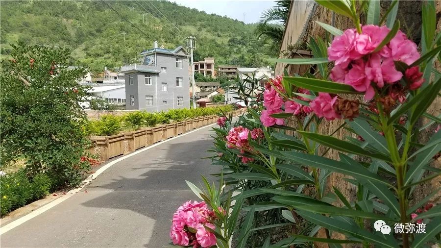 弥渡最富的村庄,弥渡德苴最美村庄