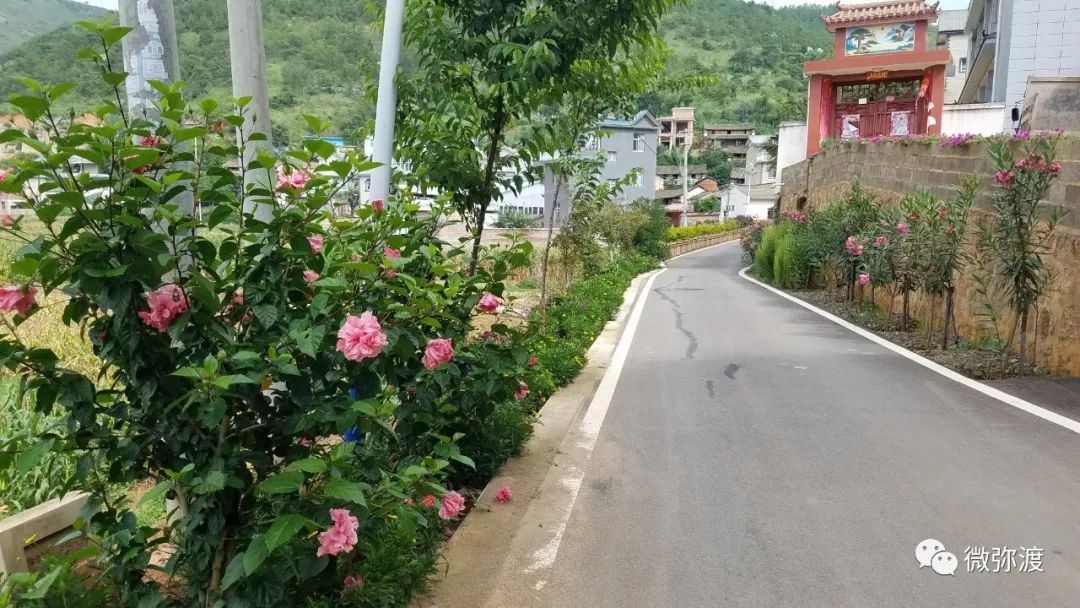 弥渡最富的村庄,弥渡德苴最美村庄