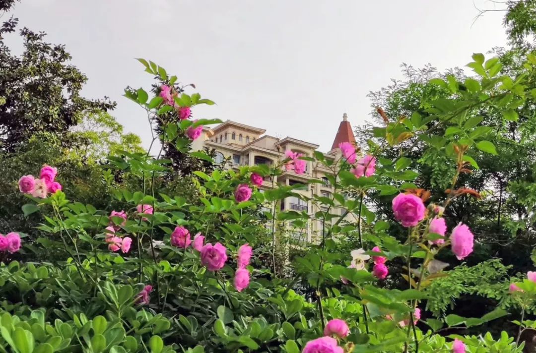 合肥：从住有所居迈向住有宜居