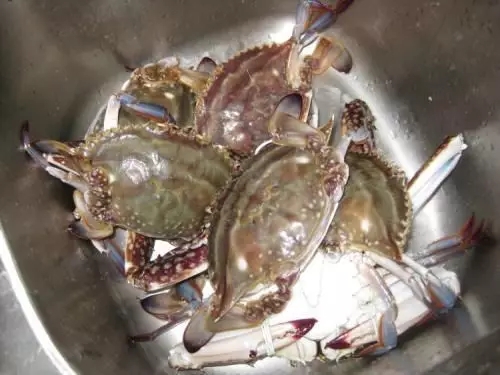 金秋吃蟹有什么讲究,金秋吃蟹攻略教你如何挑好蟹