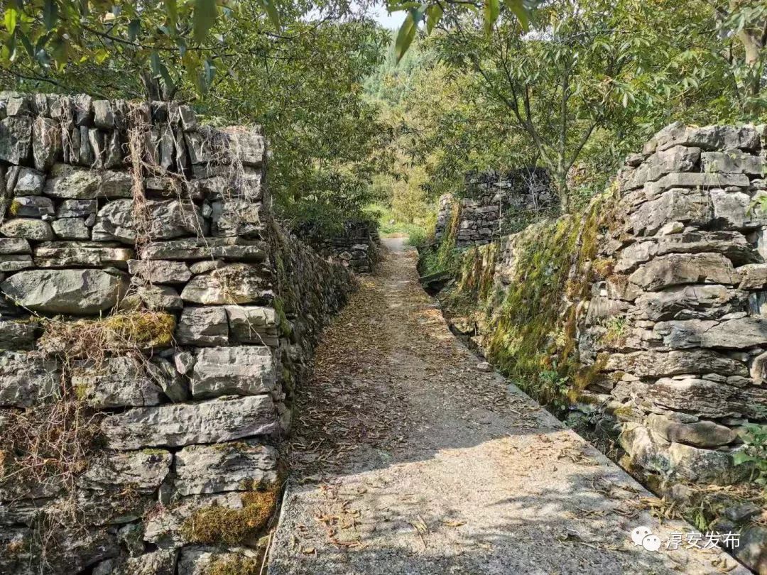 Wow！我们身边竟有2w多“草根才俊”