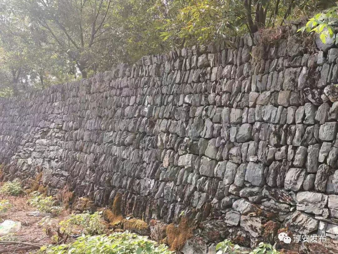 Wow！我们身边竟有2w多“草根才俊”