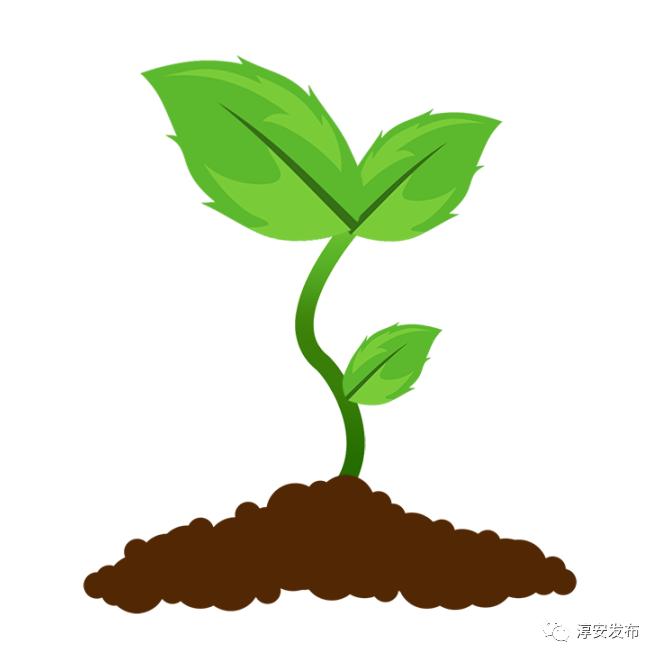 Wow！我们身边竟有2w多“草根才俊”