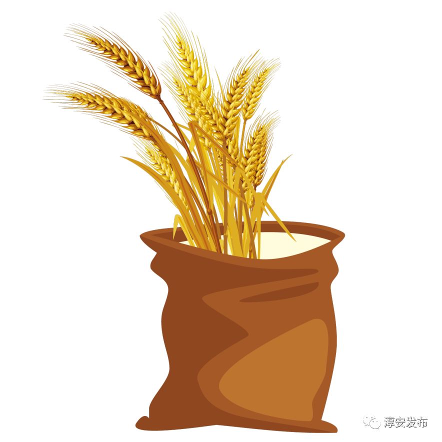 Wow！我们身边竟有2w多“草根才俊”