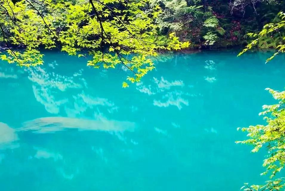 十一长假不出北京自驾旅游攻略,假期自驾游十大必备